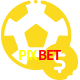 Aposte em esportes do mundo todo no PIXBET!